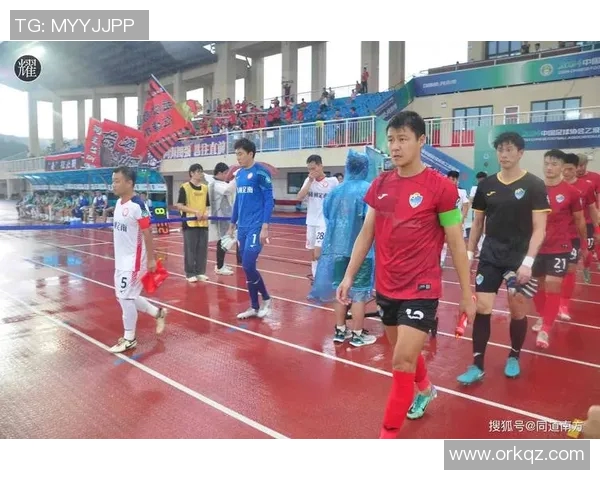 足球明星王振兴的个人简介与精彩瞬间展示