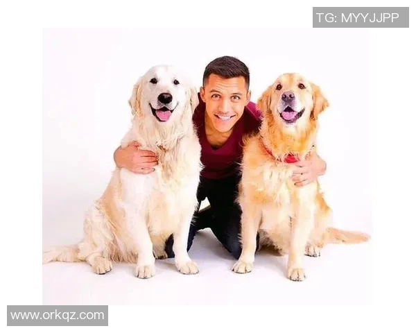 李娜与足球明星之间的友谊与合作探讨