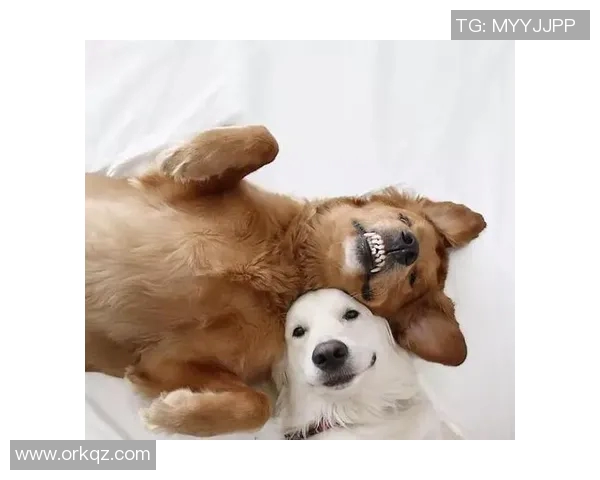 哪个足球明星对女友宠爱有加让人羡慕不已揭秘他们的甜蜜爱情故事