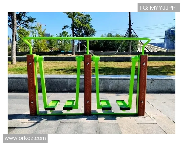 广场健身器材的多样选择与使用技巧助你轻松锻炼提升健康水平