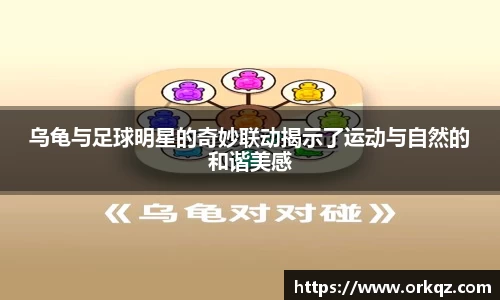 乌龟与足球明星的奇妙联动揭示了运动与自然的和谐美感