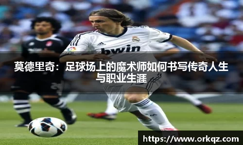zoty中欧体育